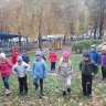 IMG-69296a5e034362a821aaa2dbb20c66ae-V