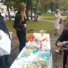 IMG-93bd73d017bd014450998a73d868caa1-V