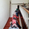 IMG-f8cd99c0bbe23933ad315078653f99ee-V