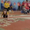 IMG-1bf5f2d18f5b552db895849d3f3ce9a8-V