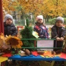 IMG-f0bc2e2ced00970a97dc7b711ec491ee-V