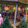 IMG-43f79c6ac30648973c72ee66119e6b62-V