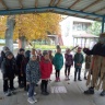IMG-31b82ac85b2118db4ac3c8b6cc2f5d16-V