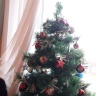 IMG-255f688cd5612cc6b8f07657fcbdcb73-V